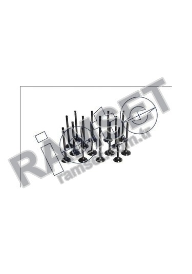 SUBAP TAKIMI DKS 1,6 8V (IN+EX TK.) IN(34.6X8X100.5)EX(33.5X8X101)